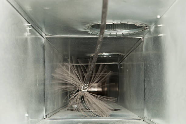 Air Duct Mold Removal in Vashon, WA